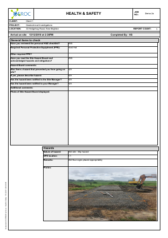 Health & Safety example report