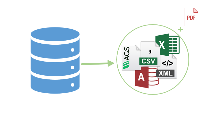 Bulk Export & PDF Generation